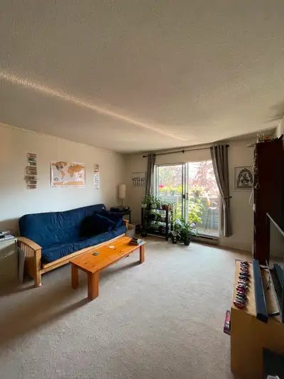 Bright, south facing and cosy 1 bed - July 15/Aug 1 (cat ok)