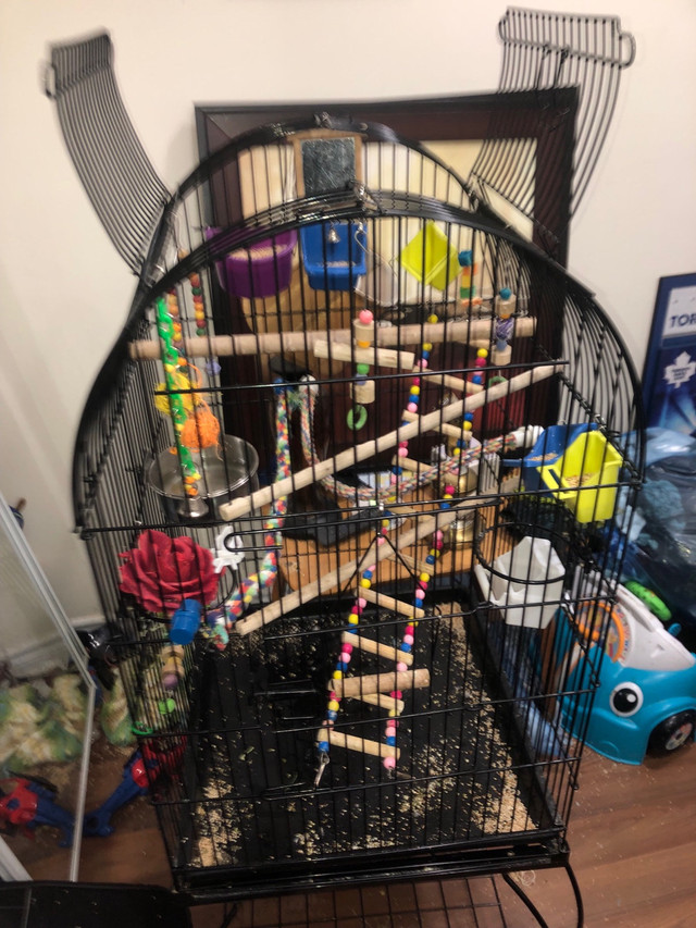 4ft tall by 2.5 ft wide parrot cage in Birds for Rehoming in Barrie - Image 2