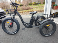 E-Trike (3 wheel electric bike)