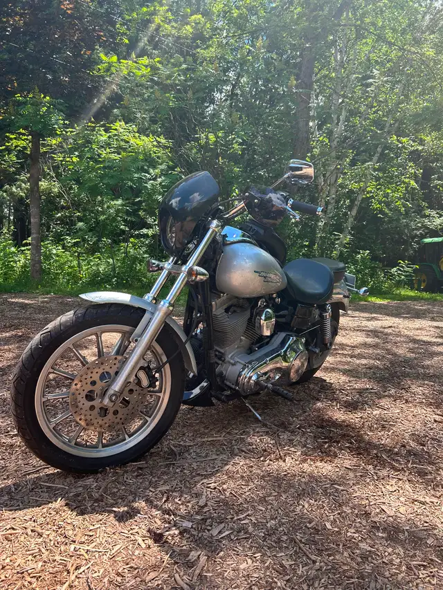 Classic Dyna , 2004 in Street, Cruisers & Choppers in Oakville / Halton Region - Image 2