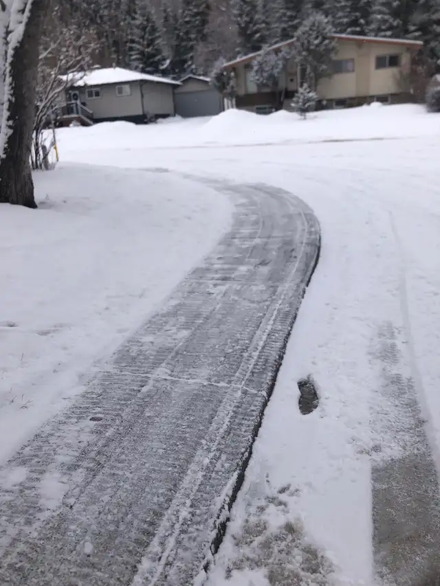 PROFESSIONAL FALL CLEANUP & SNOW REMOVAL 600046539920517129