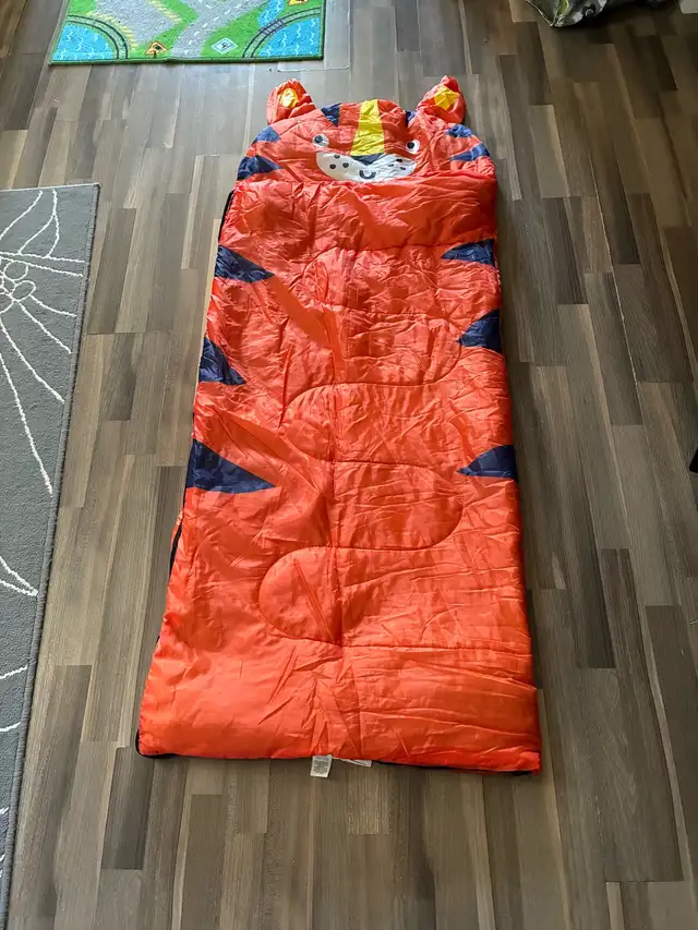 2 kids sleeping bags 