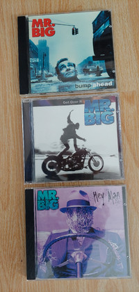 Mr Big cd