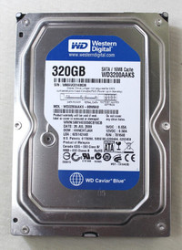 Western Digital Caviar Blue 320GB Sata/16MB Cache 7200 RPM WD320