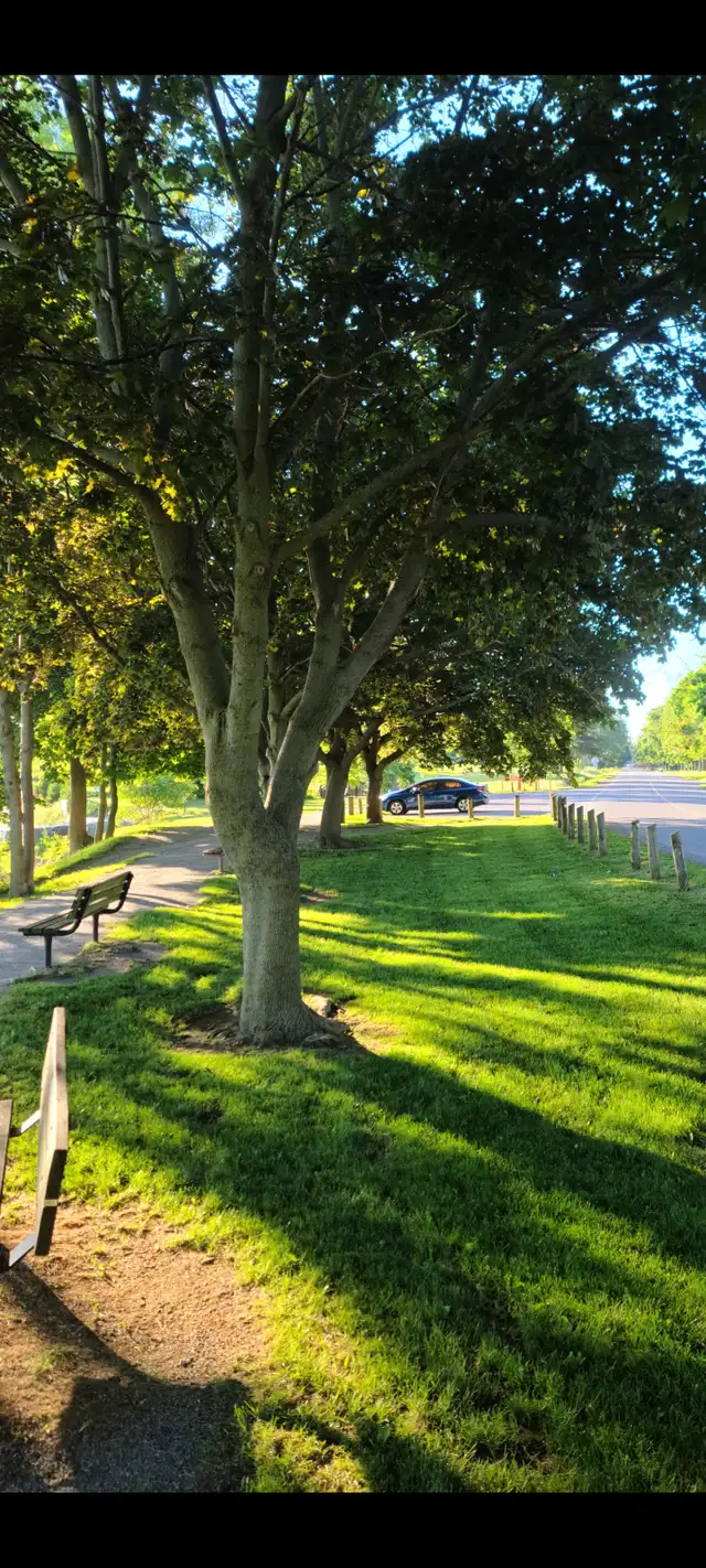 Seeking friends for walks, coffee, ect in the Durham area...