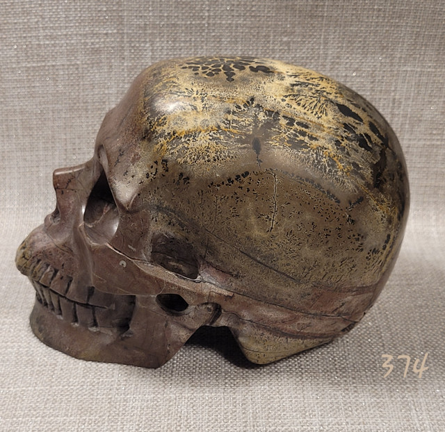 Crâne de jaspe naturel 3½" Skullis picture jasper Skull. dans Décoration intérieure et accessoires  à Laval/Rive Nord - Image 3