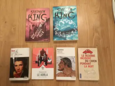 Stephen king, Homere, Horla, Haddon, Dumas, Voir plus