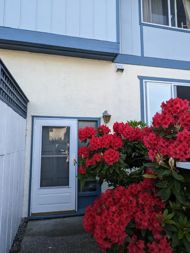 June 11-July 31 sublet - Furnished Bedroom near UVic $850 in Room Rentals & Roommates in Victoria - Image 3