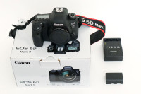 Canon EOS 6D Mark II  with Canon BG-E21 Battery grip for sale.