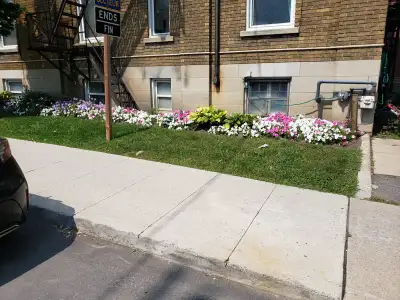 417 Elgin Street at Park Street Bright spacious bachelor balcony high ceilings , hardwood floors, fr...