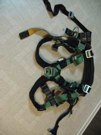 JELCO Safety Harness and Belt Combo, BRAND  NEW