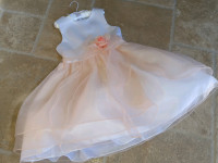 Flower girl, special occasion dress size 6