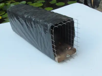 SNAP RATS AND MICE TRAPS, View more