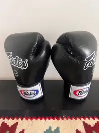 Fairtex Muay Thai/Kick Boxing Gloves
