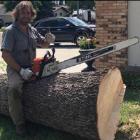 Tree Cutting Any Job Big or Small Free Estimates