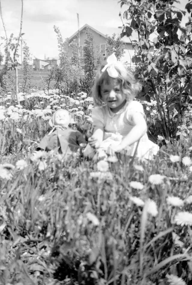 Video, Photo and Negative Transference... in Artists & Musicians in Red Deer - Image 4