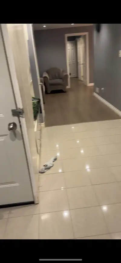 BASEMENT APARTMENT FOR RENT