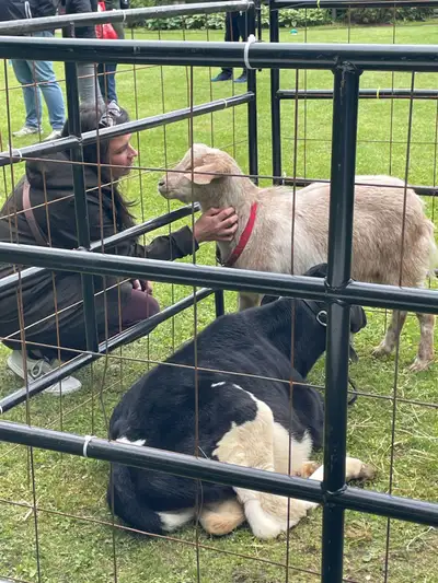 Petting Zoos and Pony Rides, View more