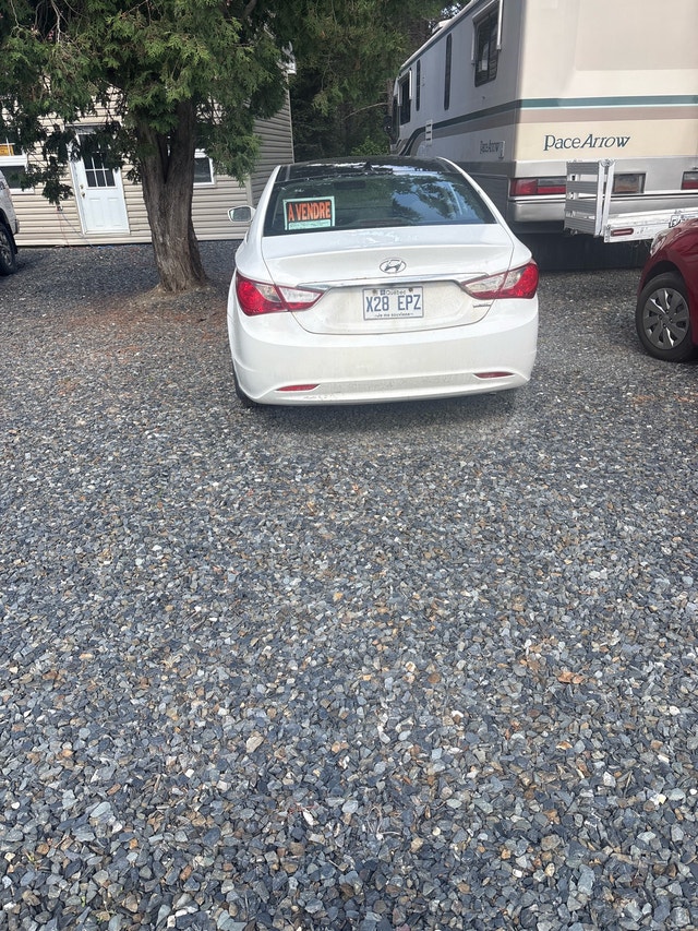 Sonata limited 2013