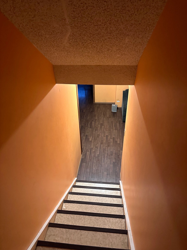 One bedroom basement sweet in Long Term Rentals in St. Albert - Image 4