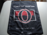 Molson Canadian Ottawa Senators Stanley Cup Champions Banner