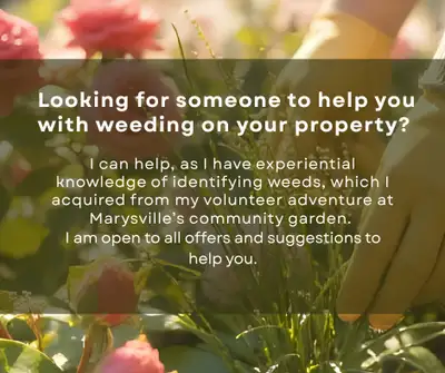 Offering Weed Removal for your Property, View more
