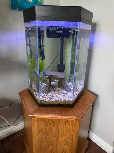 20 Gallon hex tank, View more