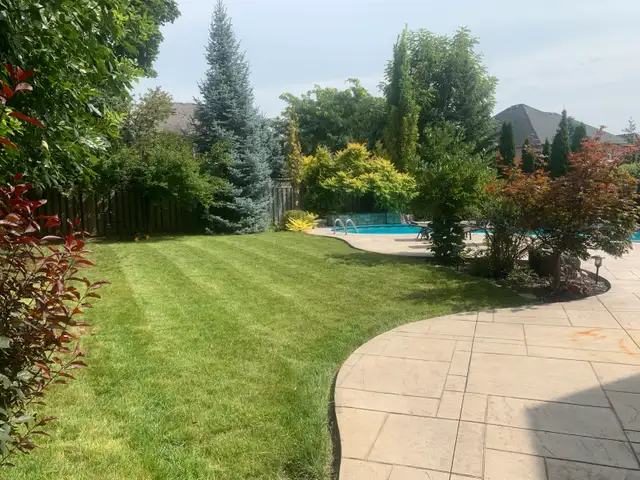 Quality lawn care without the big business price in Lawn, Tree Maintenance & Eavestrough in Cambridge - Image 3