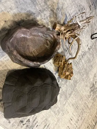 reptile accessories, View more