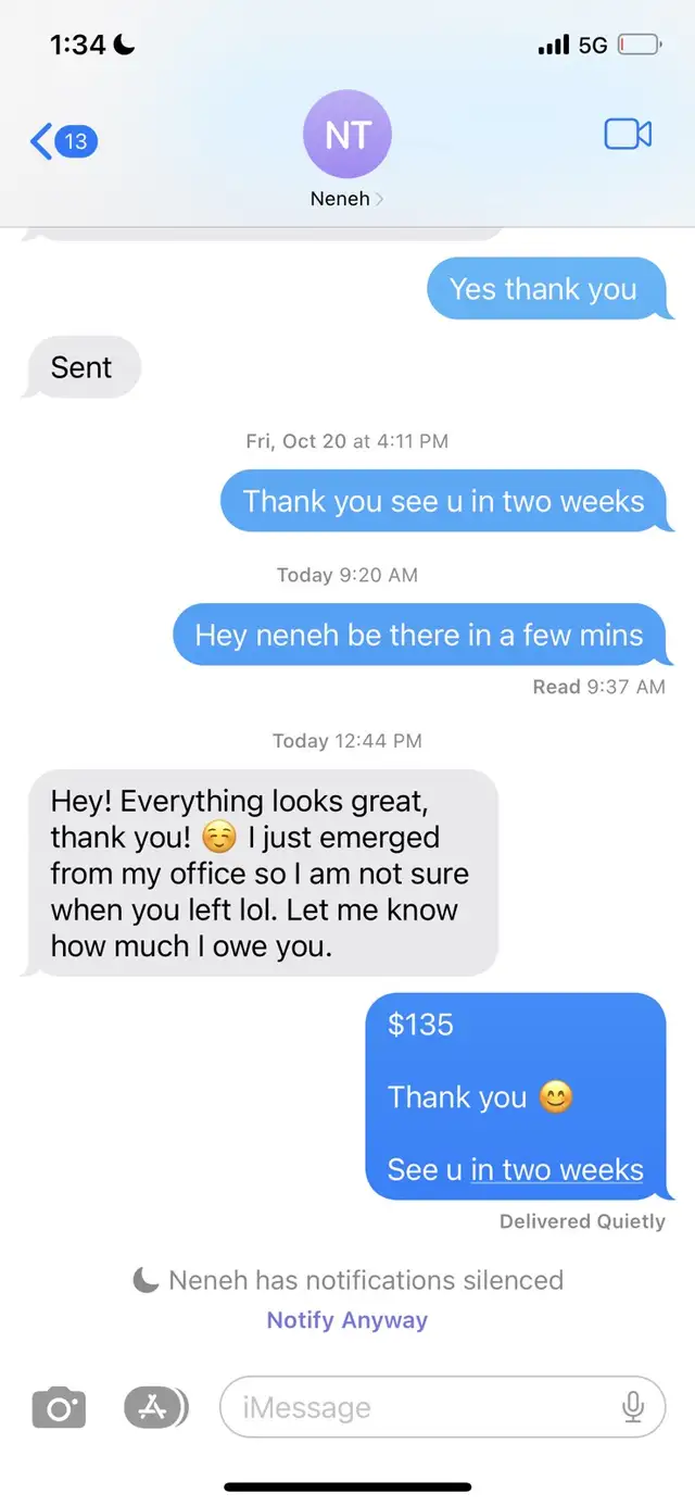 professional cleaning lady 64186412038274124