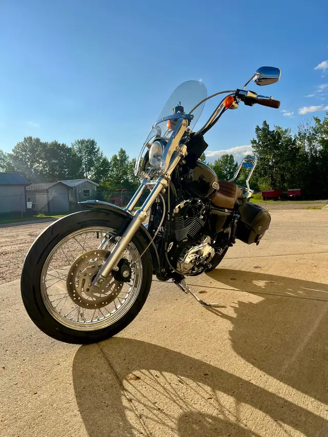 2006 Harley Davidson Sportster 1200 Low in Street, Cruisers & Choppers in Saskatoon - Image 6