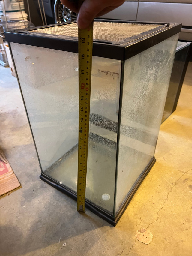 Terrarium 12”L X 12”w X  19” tall in Accessories in Calgary