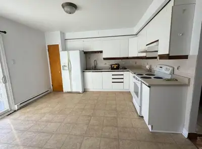 Basement, big hall for rent