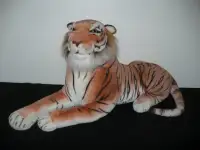 Magnifique tigre