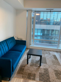 Spacious 1 bed + 1 bath Summer Sublet (May-Aug) —Fully Furnished