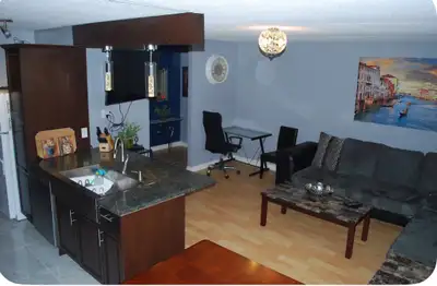 Freshly renovated fully Furnished 2 Bed + 1 Bath Condo with ensuite Washer/Dryer Across the street f...