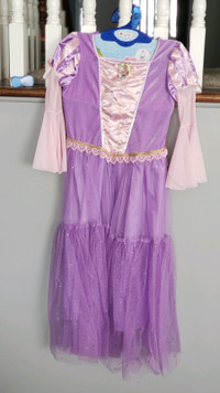 Disney Princess Costume Halloween 