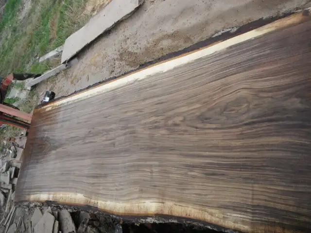 Live edge walnut slabs for table tops in Other in Ottawa - Image 5