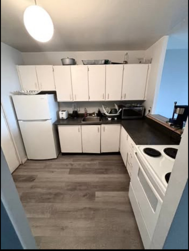 A Room to rent on a 3 Bedroom apartment in Room Rentals & Roommates in Ottawa - Image 2