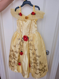 Beautiful Disney Princess Dress with roses and rose hairband