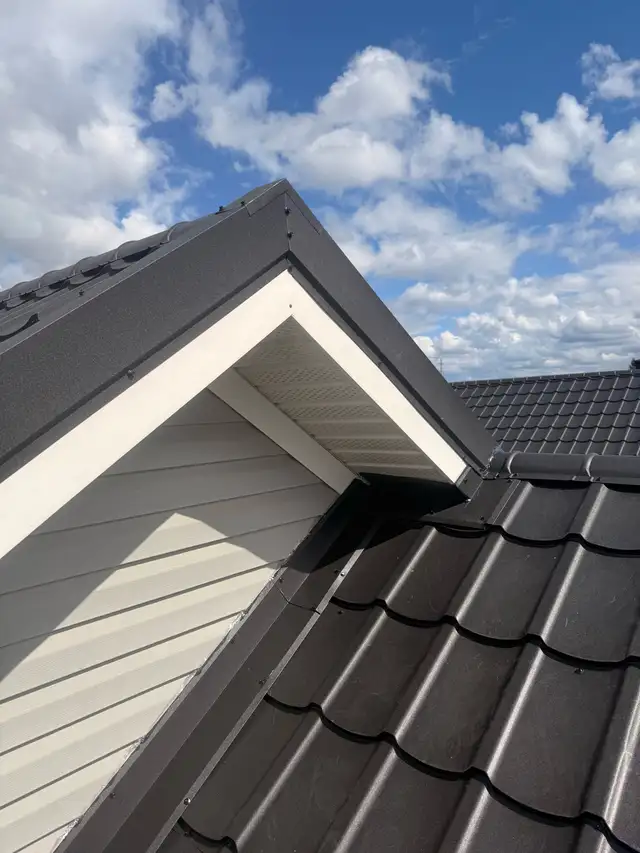 Roof  repair or replacement507194695065292805