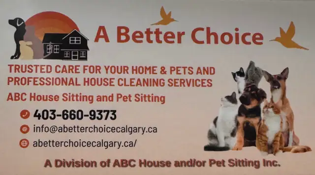 Cleaning439247132500971520
