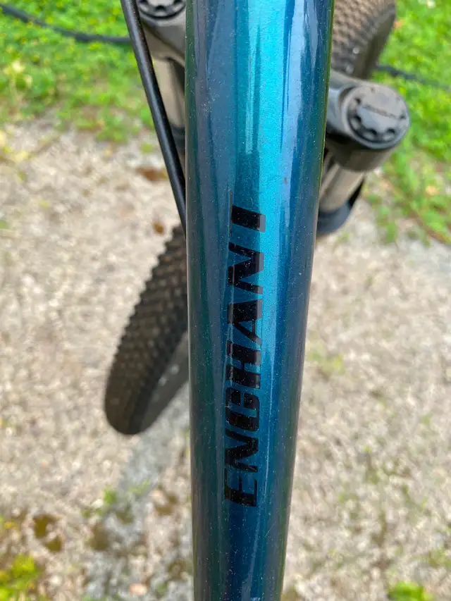 LIV Enchant girls bike for sale in Road in Ottawa - Image 4