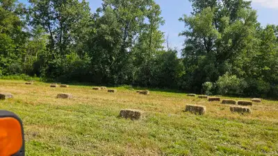 hay bales small square, View more