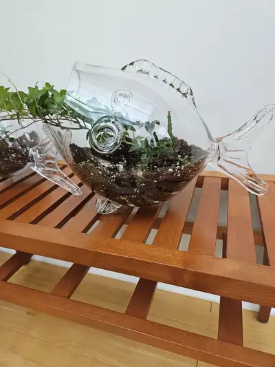 TWO SIZES. ONE LARGE. ONE MEDIUM. PERFECT FOR ANY ROOM PLANTERS HAVE NO CHIPS OR CRACKS TWO PLANTS I...