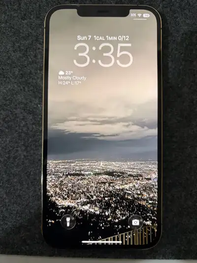 iPhone 12 Pro Max 256GB, View more