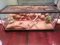 20 gallon reptile enclosure