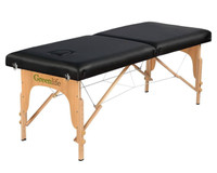 Portable massage/lash bed for sale 