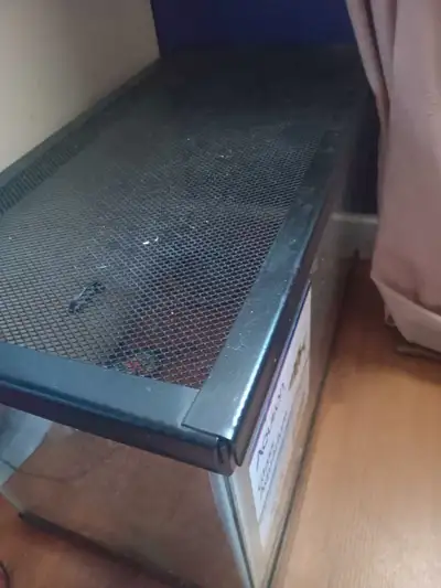 60 obo Used for a frog. Comes with water bowl Can throw in additional supplies if needed. Available...