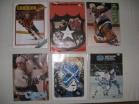 V. Canucks Hockey Program